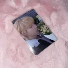 nct dream ロンジュン dreamscape Walmart