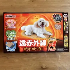 Item thumbnail for item 9d3f89f8-489f-47a2-a1e2-793b91d55346