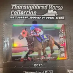 55 《初回様プロフ必読》様 リクエスト 2点 まとめ商品