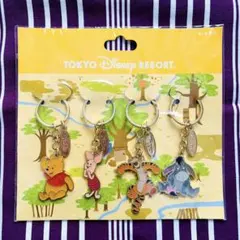 【新品未開封品】ディズニー リゾート キーチェーン プーさん ティガー 4点