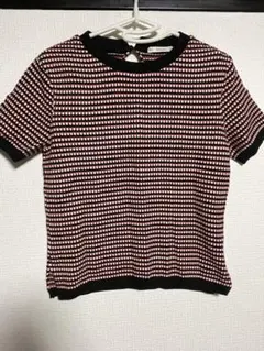 Zara 半袖ニット トップス Mサイズ