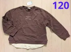 120★+one more★重ね着風トレーナー★ブラウン★新品