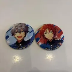 あんスタ 缶バッジ 月永レオ 瀬名泉