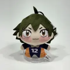 ハイキュー!! ちょぴぬいぷち ぬいぐるみ マスコット 山口