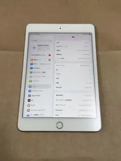 iPad mini (第5世代) 本体 セルラー 64GB iPad mini 5 Wi-Fi + Cellular 64GB - スペースグレイ [整備済製品