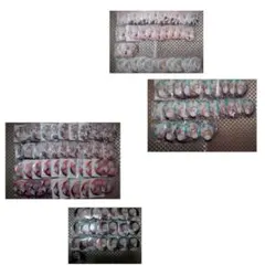 ツキプロ ALIVE Growth 涼太 缶バッジ セット ツキプロ ALIVE Growth 涼太 缶バッジ セット ツキプロ ALIVE Growth