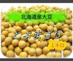 専用品 大豆(ゆきほまれ) 十勝産 10kg + 1割増量 大豆(ゆきほまれ) 十勝産 1kg+1割増量 - メルカリ