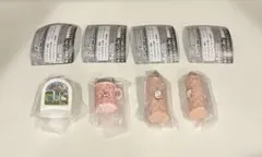 サンリオキャラクターズ　レトロミニチュアチャーム2 ガチャ