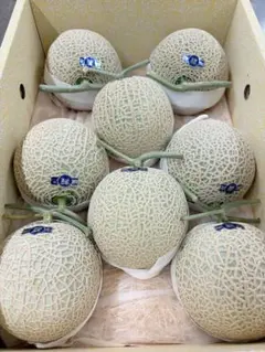 高知県産 温室赤肉メロン 6玉入り 約9.3kg（箱込み） - メルカリ