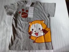 あらいぐまラスカル Tシャツ グレー 110cm 新品のサムネイル