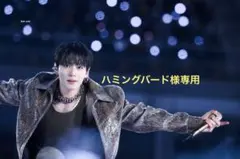 ハミングバード様専用⟡.*