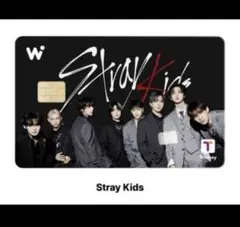 【未開封・未登録】Stray Kids WOWPASS 公式カード 集合 オール