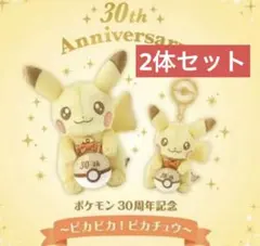 ✨新品未開封✨30周年記念　ピカチュウ　ぬいぐるみ　マスコット　2点セット