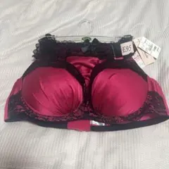 未使用】ブラジャーショーツセット E95 4L