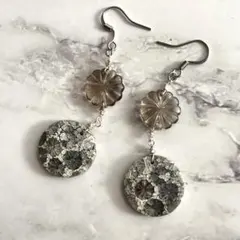 フォッシルコーラル　天然石　ハンドメイド　ピアス　サージカルステンレス　可愛い