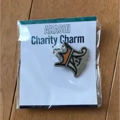 嵐 チャリティーチャーム