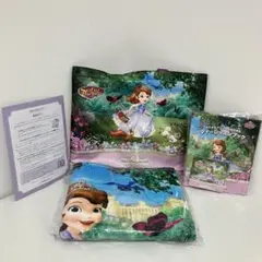 【新品非売品】ディズニーランドホテル ソフィア アメニティセット バッグ 毛布