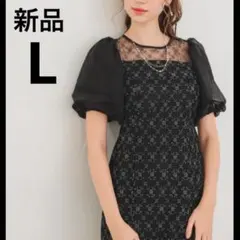 新品✨ドリードール ダイヤレースマーメイドドレス オケージョン 結婚式 黒 L