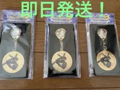 【新品未開封】スペシャルメダル3枚セット　黒いレックウザ　ポケモンスタンプラリー