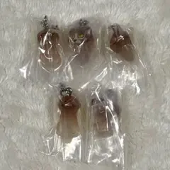 なめこ栽培 めじるしアクセサリー