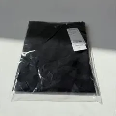 【新品・4XL】ミズノ ドライTシャツ 32MAA15609 ビッグサイズ