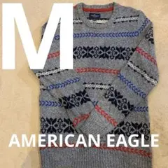 AMERICAN EAGLE Uネックメンズニットセーター Mサイズ