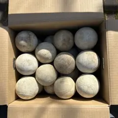 Item thumbnail for item 3f3c39af-e5cf-4302-850c-d5a60c2e88a5