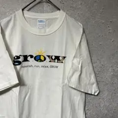 PORT & COMPANY Tシャツ 半袖 スポーツ カレッジ フロリダ S