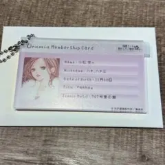 ウルミア 矢沢あい コラボ ノベルティ　会員証 キーホルダー NANA Urumia ウルミア ノベルティ会員証 矢沢あい ハチ キーホルダー