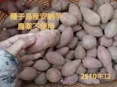 種子島産安納芋　農薬不使用　2L23キロ 無農薬 安納芋 5kg 種子島 2S～L 送料無料 安納紅 蜜芋 鹿児島