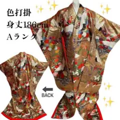 Item thumbnail for item 58151db4-2de4-4673-81dd-5353cb5f69cb