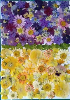 Item thumbnail for item d579f8d7-a102-4888-b852-3dcffc48859e