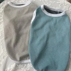 Item thumbnail for item bf9e12e4-f469-455d-a462-4dd84a9f9bd9