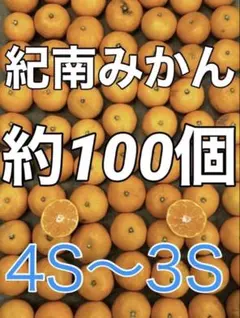 K0318❤️和歌山みかん 100個ぐらい 箱込み5kg 小玉みかん