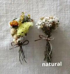 Item thumbnail for item 4910c052-ee8c-4ebd-9ec6-381ef0dece84