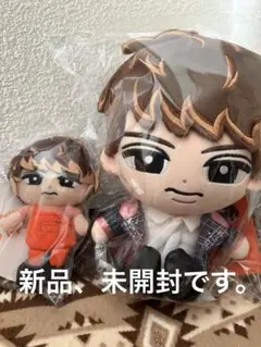 向井康二 ぬいぐるみ アクリルスタンド 缶バッジ 向井康二 ぬいぐるみ アクリルスタンド 缶バッジ - メルカリ
