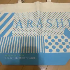 嵐 コンサートグッズ バッグ 君と僕の見ている風景