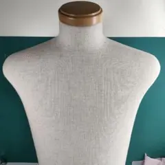 トルソー ReBody メンズ ボディのみ