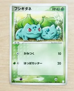 フシギダネ マスターキット ポケモンカード 引退品 - メルカリ