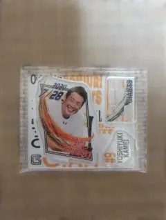 Item thumbnail for item 1c3b531d-6220-4069-a368-39f59d70da47