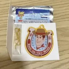 ウッディ　ブラインドアクリルキーチェーン　トイストーリー5