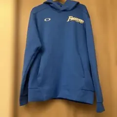 Item thumbnail for item ce5333f1-0c91-45b5-97b8-697732684397