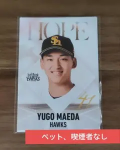 ペット、喫煙者なし★プロ野球チップスカード 2026 前田悠伍 ホープカード