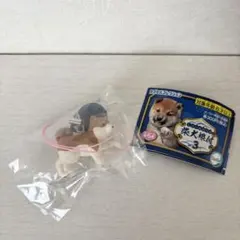 Item thumbnail for item a505d673-7ed9-43eb-acbd-185040d24a91