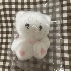 ALD1 ボイプラ サンウォン 10cm マスター ぬいぐるみ - メルカリ