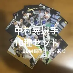 プロ野球チップスカード等 中村晃選手10種まとめセット(キラ2種、ノーマル8種)