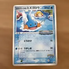 ポケパークのミズゴロウ プロモ 048/PCG-P ① ポケモンカード