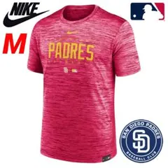 NIKE Tシャツ