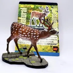 Item thumbnail for item 411198fd-8578-4202-8495-8a527aff9d48