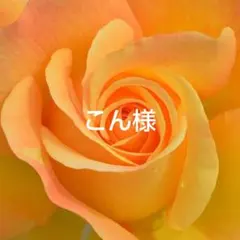 こん様　おまとめ